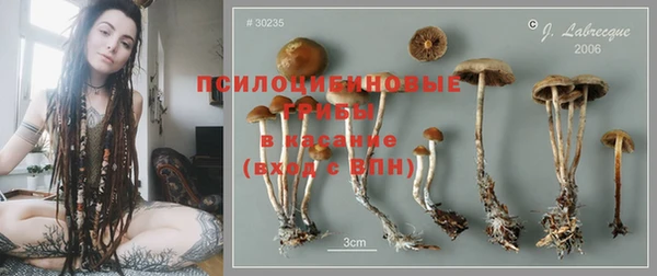 PSILOCYBIN Арсеньев