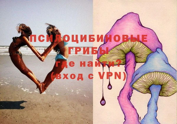 PSILOCYBIN Арсеньев
