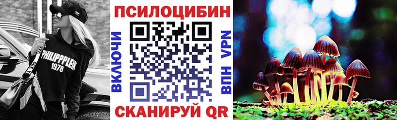 Псилоцибиновые грибы мицелий  Няндома 